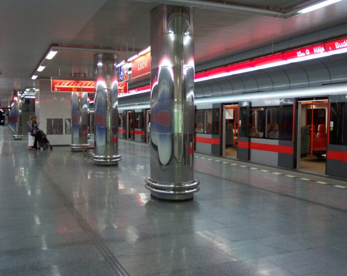 MetroLadvi